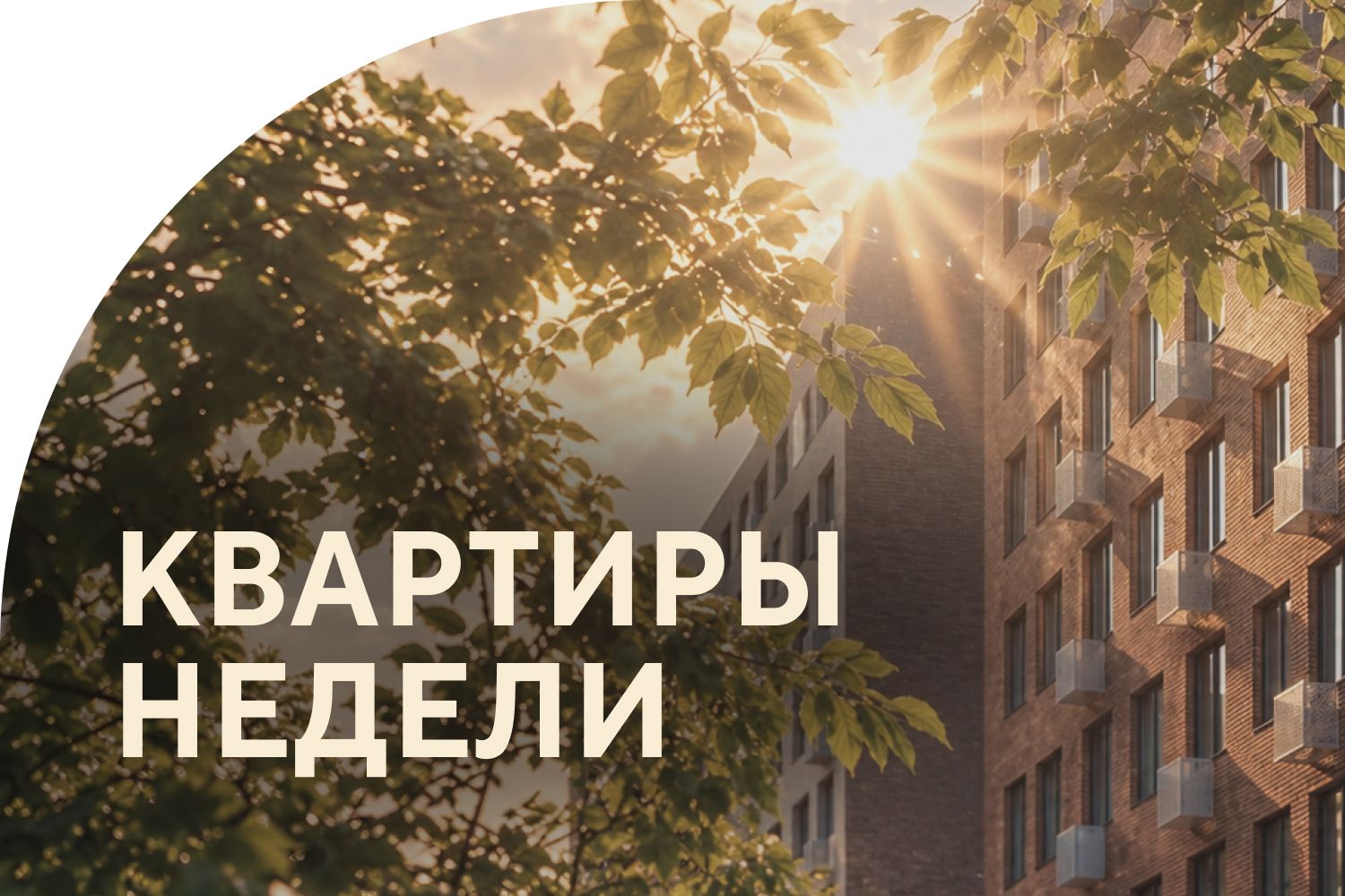 Квартиры недели — максимальная скидка на избранные лоты!